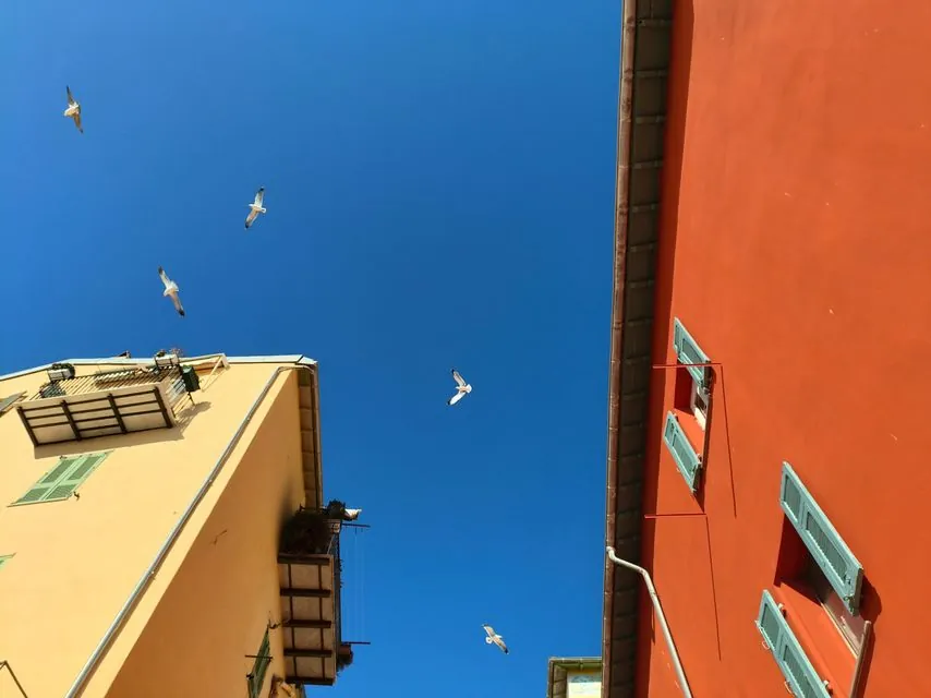 OnePlus Nord 3 OnePlus Nord 3