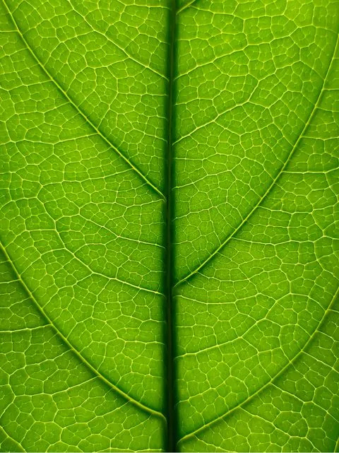 OnePlus Nord 3 OnePlus Nord 3